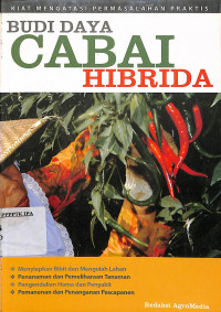 Budi Daya Cabai Hibrida