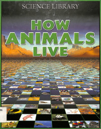 How Animals Live