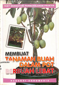 MEMBUAT TANAMAN BUAH DALAM POT  BERBUAH LEBAT