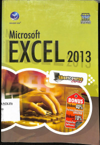 Microsoft EXCEL 2013