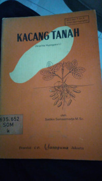 Kacang Tanah